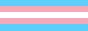 The transgender flag